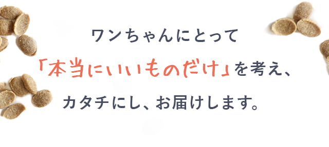 TP03_lp31.jpg